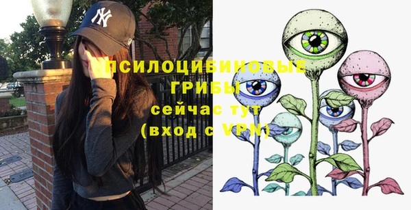 ECSTASY Балабаново
