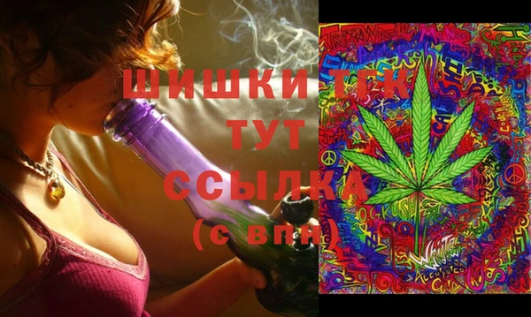 бошки Балахна