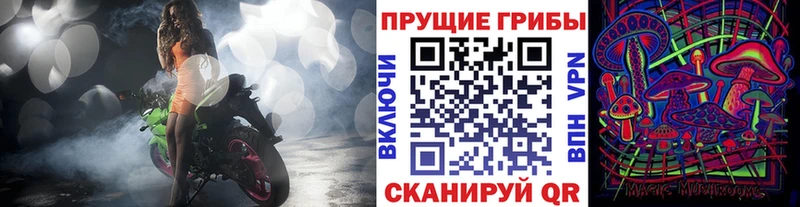 shop состав  гидра ONION  Псилоцибиновые грибы Magic Shrooms  Пласт  купить  сайты 